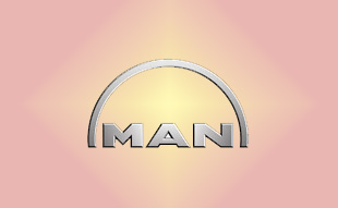 ✓ MAN N1.01101.0970 Запчасти МАН (MAN) 